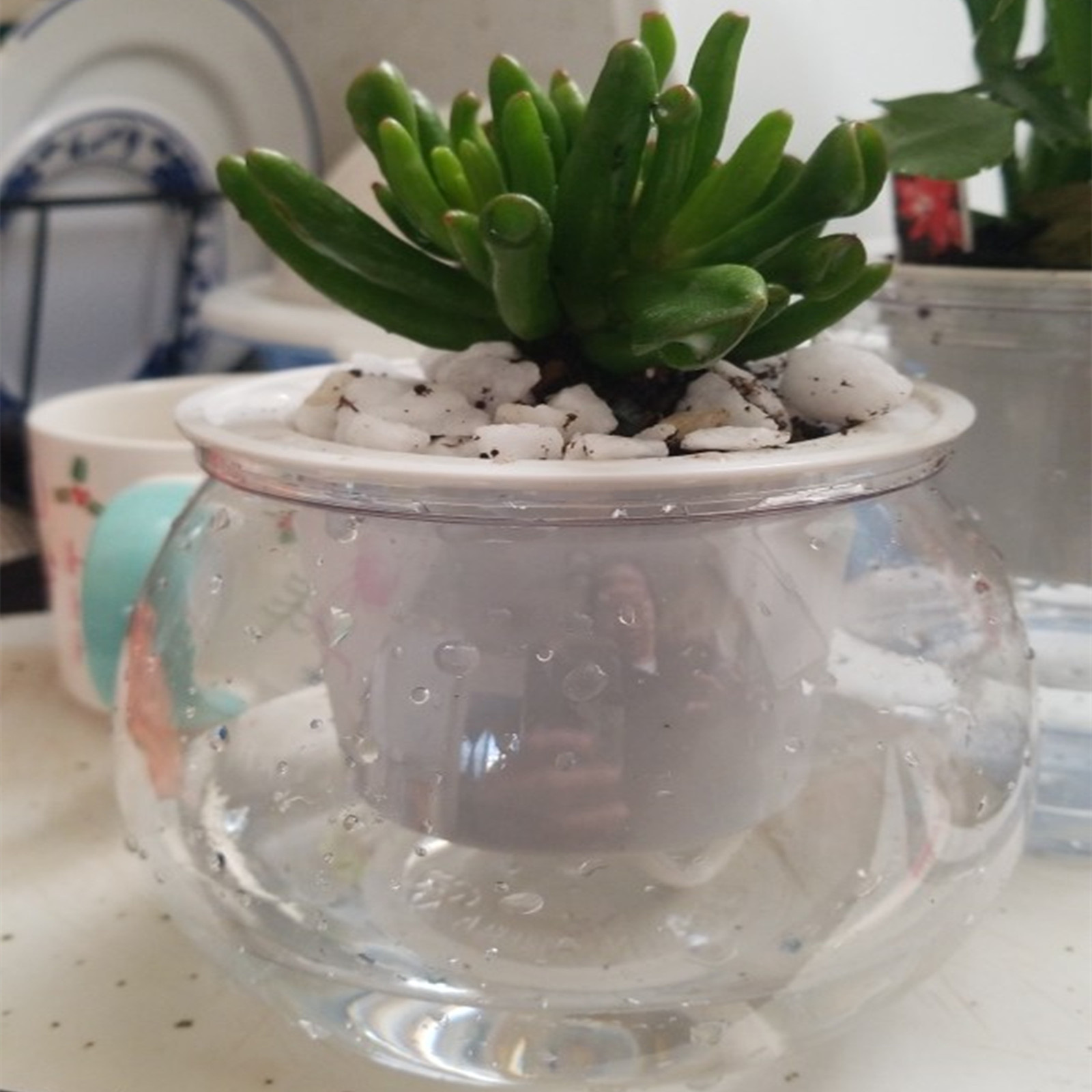 Japanese Garden Bonsai - Self Watering Planter Potten Mini Bloempot
