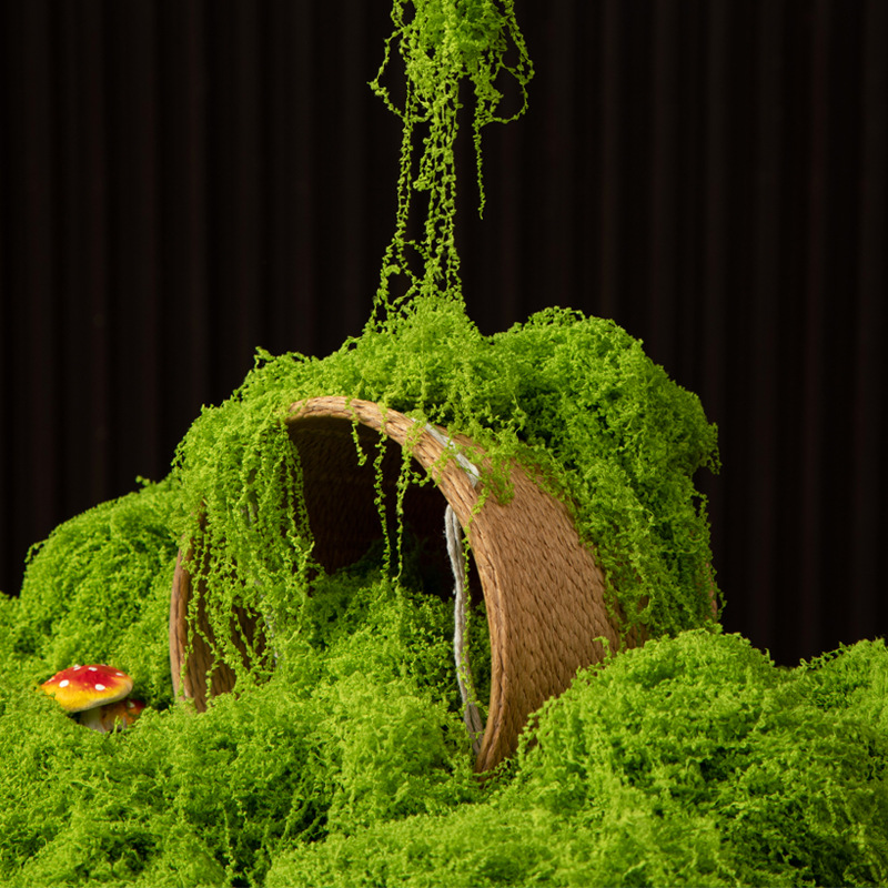 Bonsai Garden Mini - 200g Eeuwig leven mos DIY ambachten