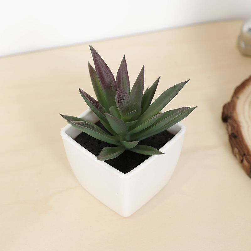 Bonsai Garden Mini - Mini Kunstmatige Succulente Fee Cup Kleine
