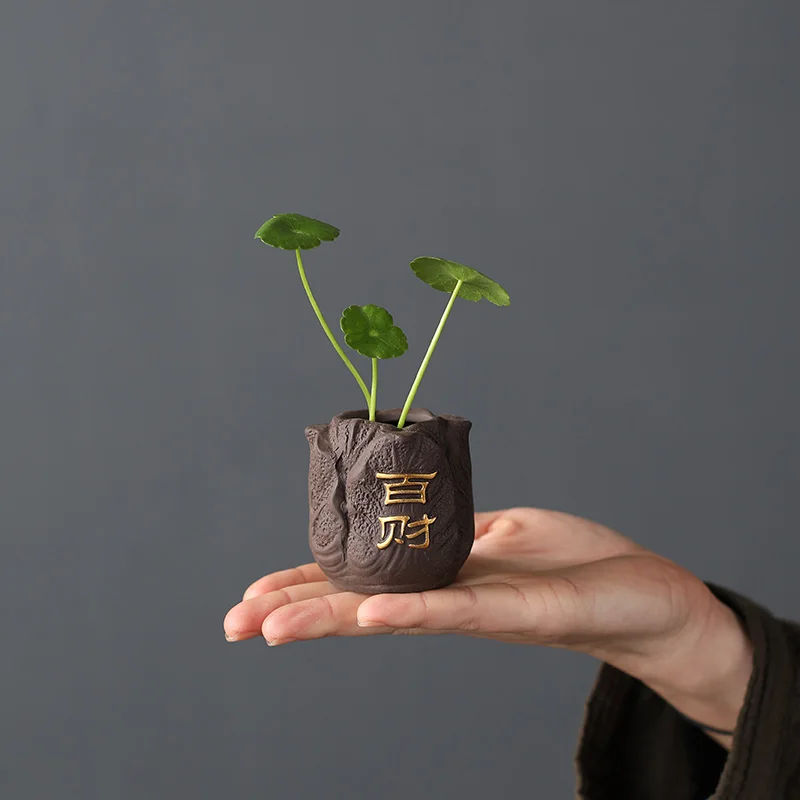 Creatieve Paarse Klei Thee Hui - Bonsai Garden Mini recensie en prijs