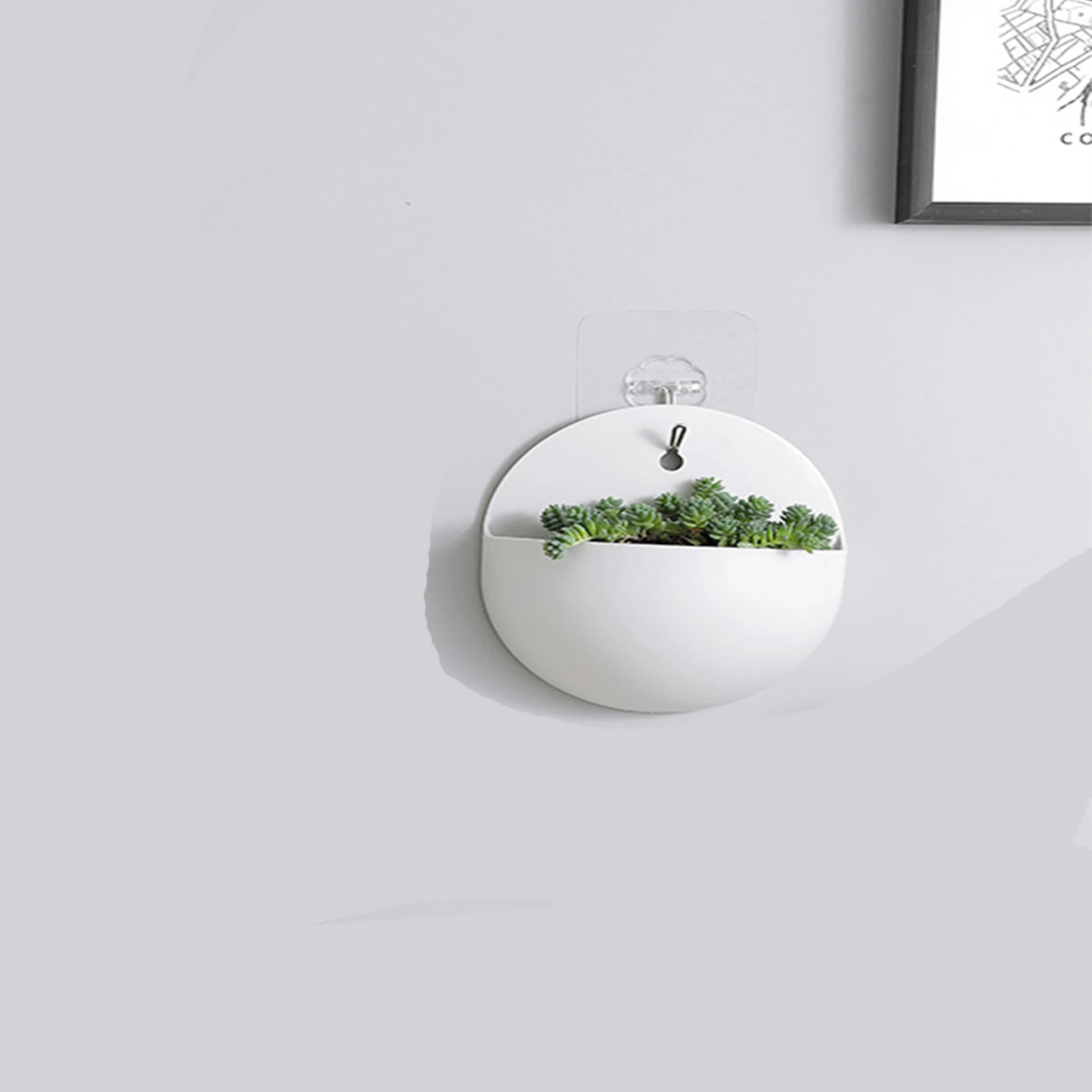 Muurhangende bonsai plantenbak - Bonsai Garden China recensie en prijs