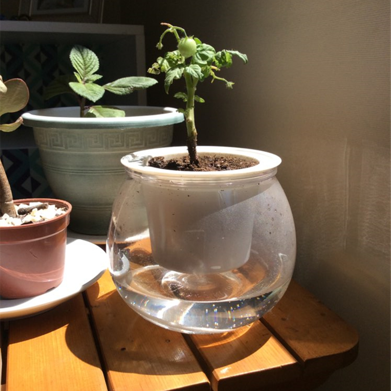 Self Watering Planter Potten M - Japanese Garden Bonsai recensie en prijs