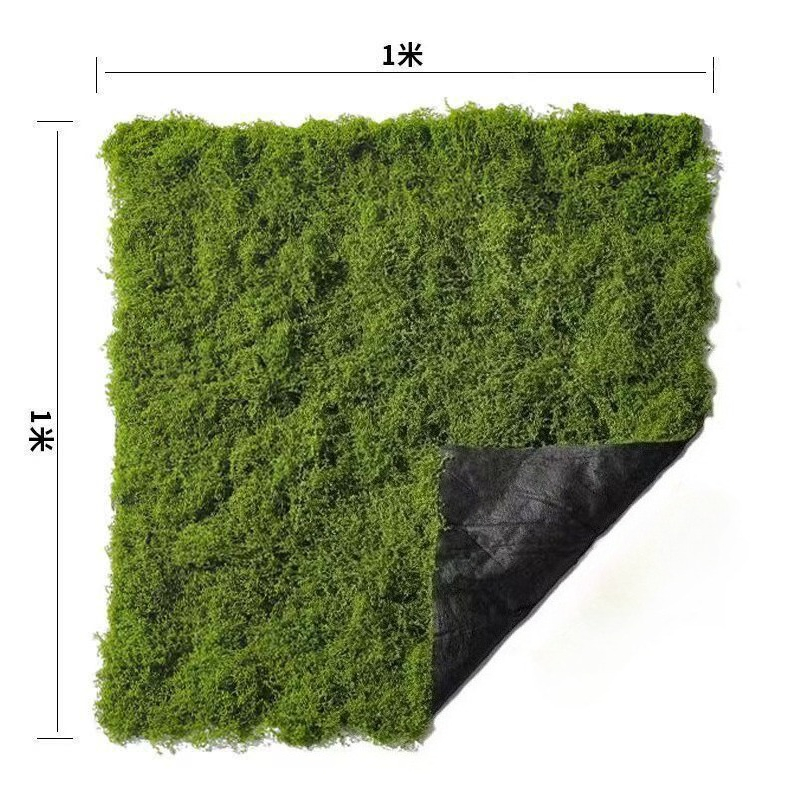 Gesimuleerde Mosgras Vloerdeco - Bonsai Garden Layout recensie en prijs