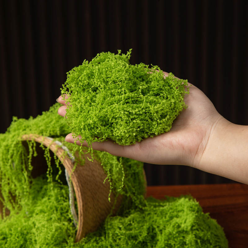 200g Eeuwig leven mos DIY amba - Bonsai Garden Mini recensie en prijs