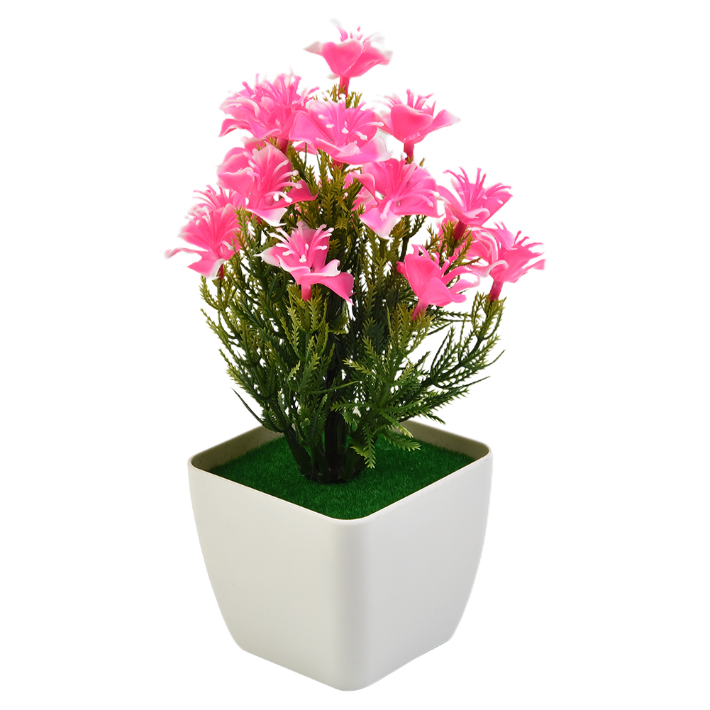 Hoogwaardige nieuwe accessoire - Bonsai Garden China recensie en prijs