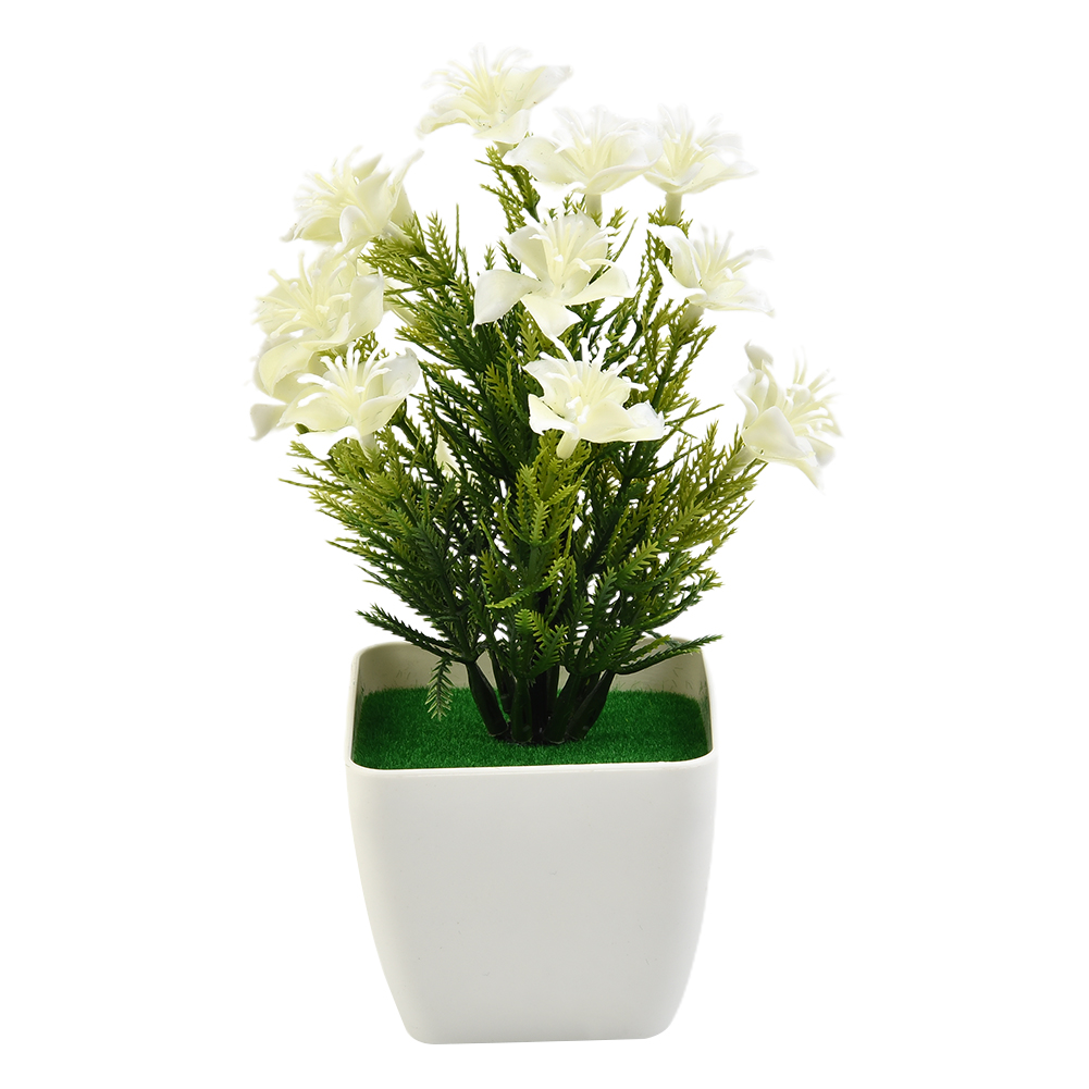 Hoogwaardige nieuwe accessoire - Bonsai Garden China recensie en prijs