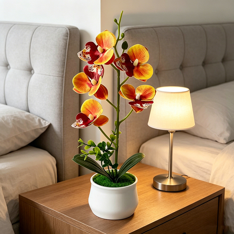5 Bloemen Vlinderorchidee Gesi - Bonsai Garden Layout recensie en prijs
