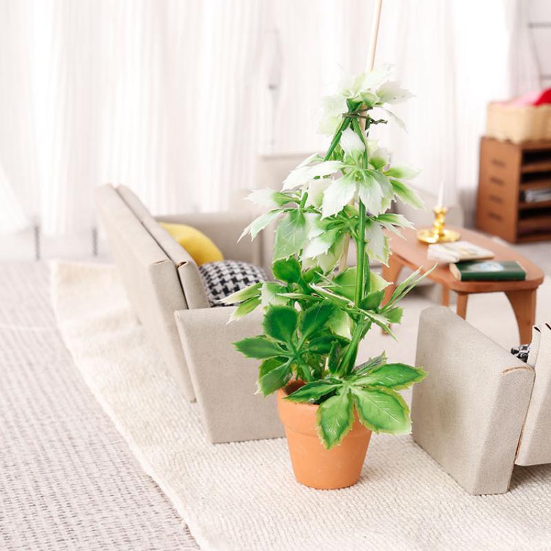 1/12 Poppenhuis Simulatie Groe - Bonsai Gardening recensie en prijs