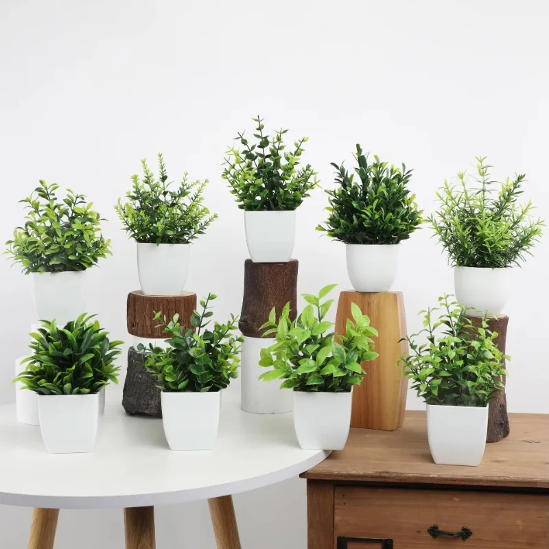 Groothandel OEM/ODM Kunstmatig - Bonsai Garden Mini recensie en prijs