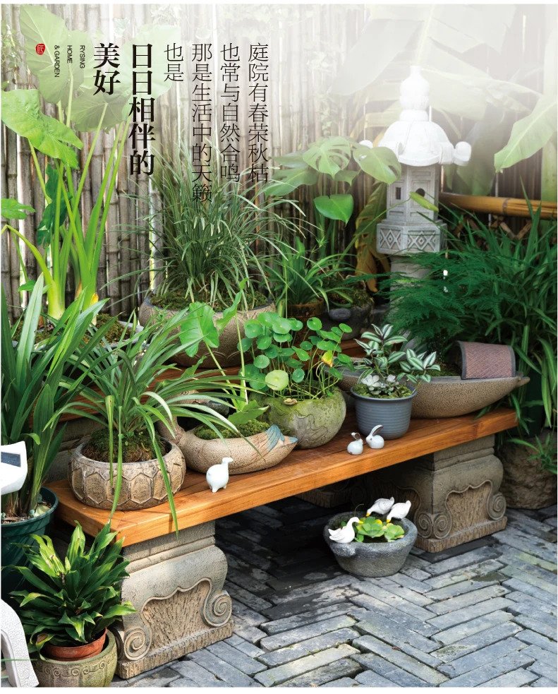 Terrastuinindeling, Teak Chine - Bonsai Garden Layout recensie en prijs