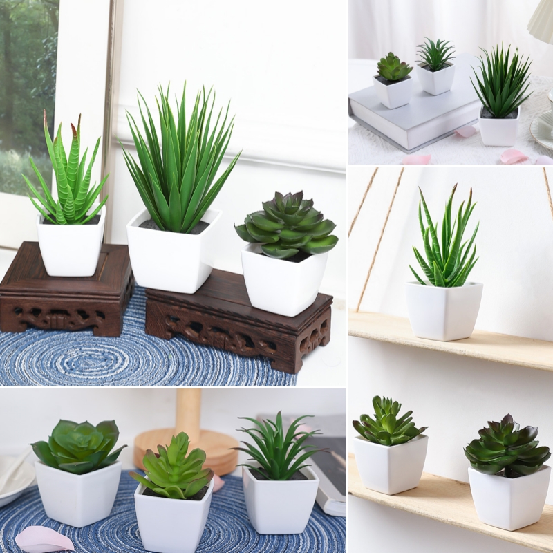 (Een set van 3 stuks) Gesimule - Bonsai Garden Mini recensie en prijs