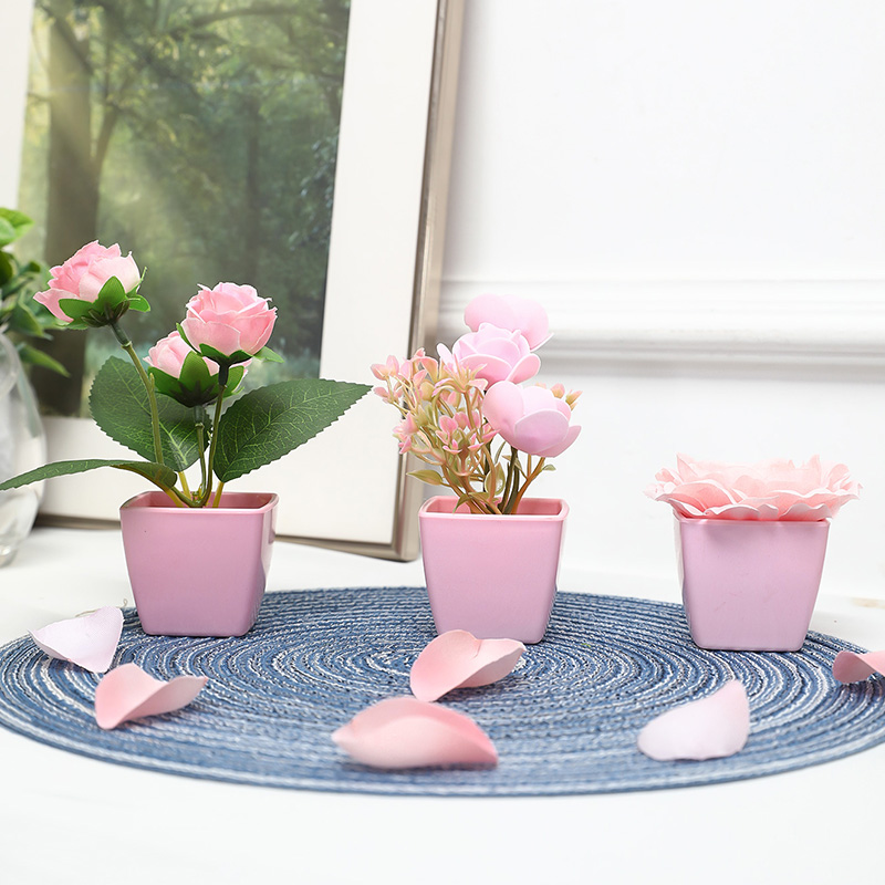 (Een set van 3 stuks) Gesimule - Bonsai Garden Mini recensie en prijs
