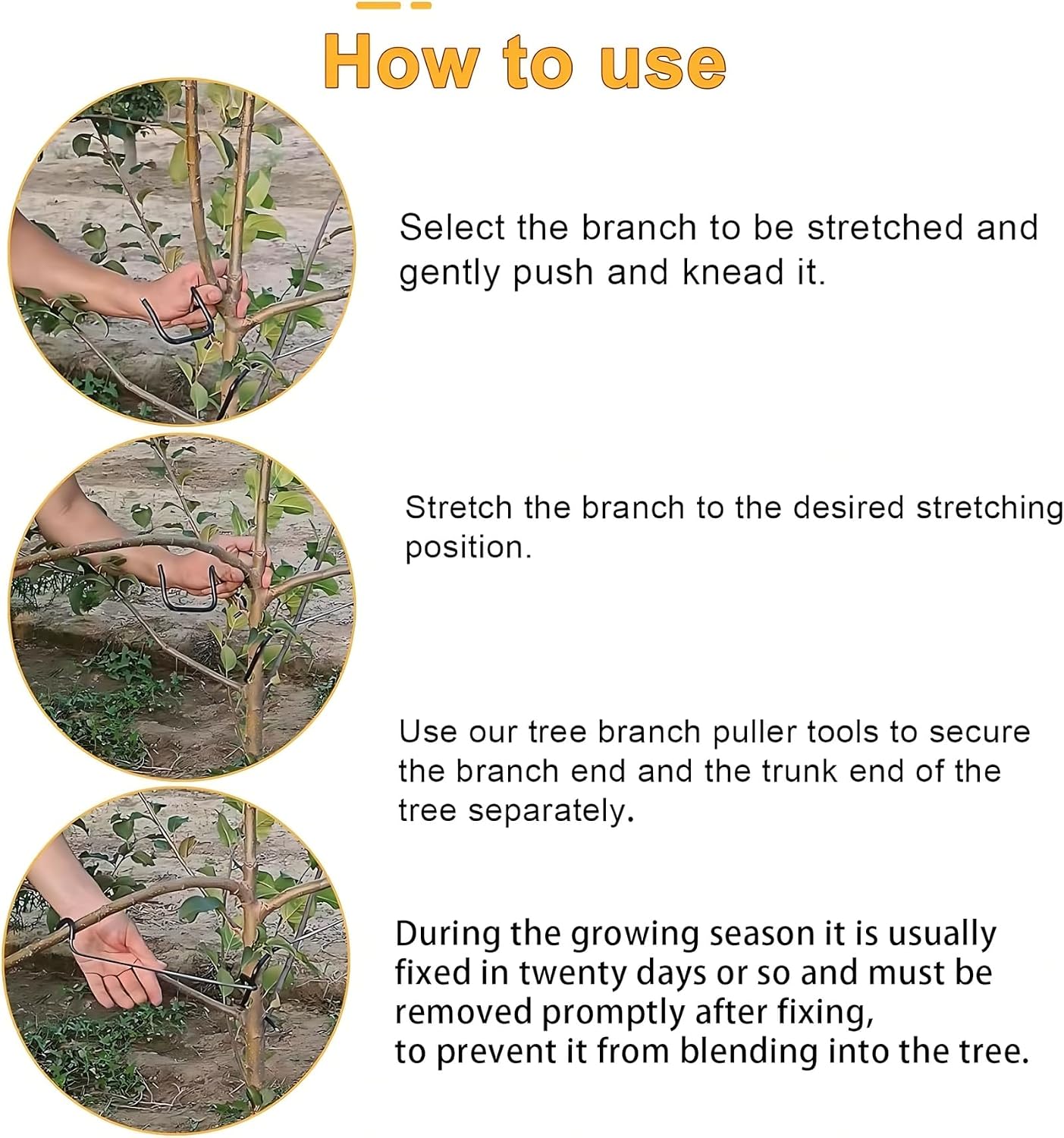 Verstelbare fruitboomtakvormer - Bonsai Gardening recensie en prijs
