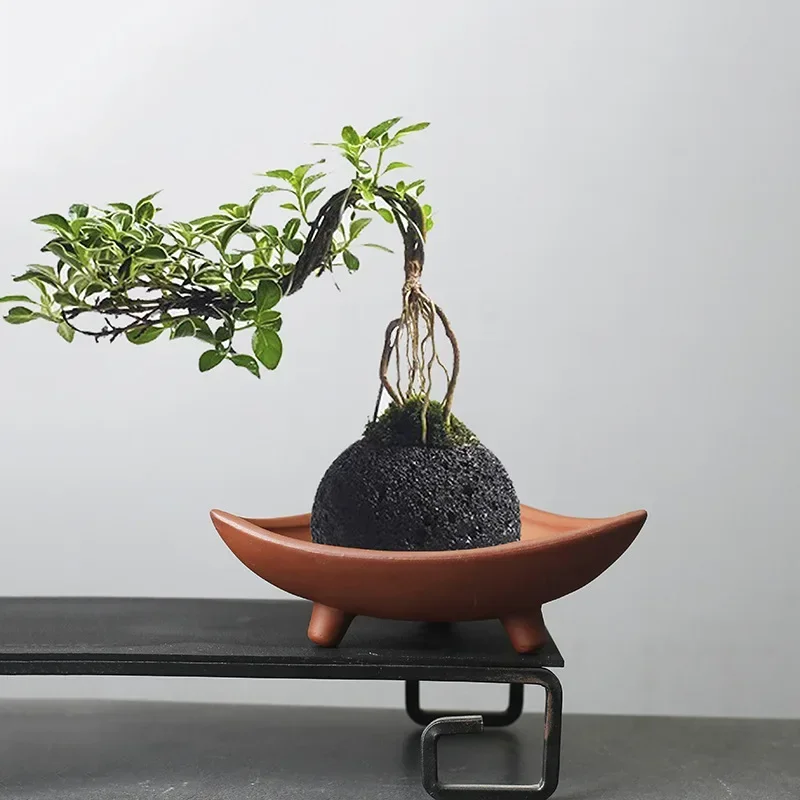 Gepersonaliseerde Keramische B - Japanese Garden Bonsai recensie en prijs