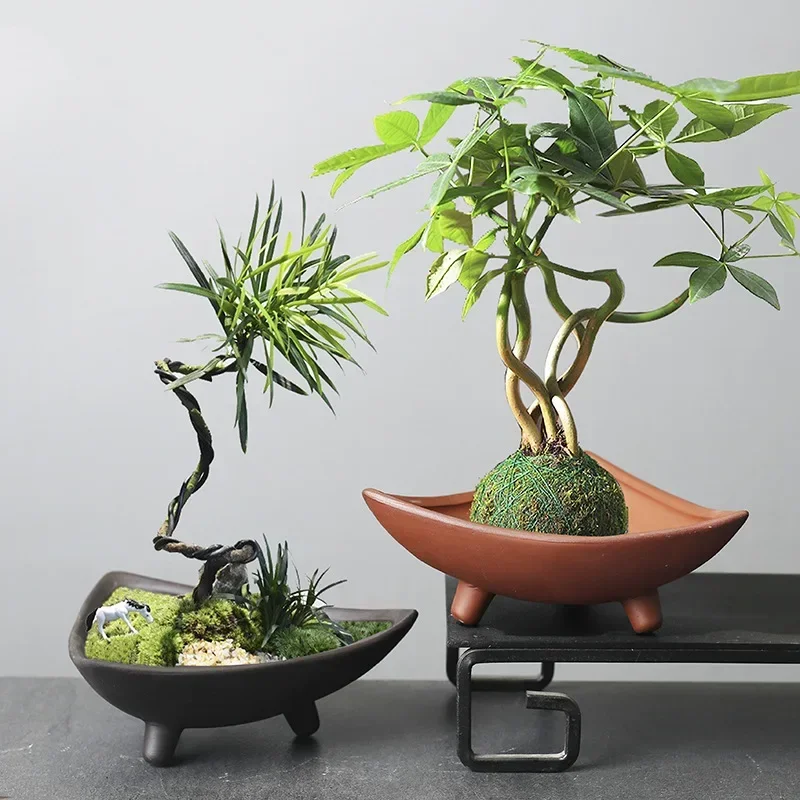 Gepersonaliseerde Keramische B - Japanese Garden Bonsai recensie en prijs