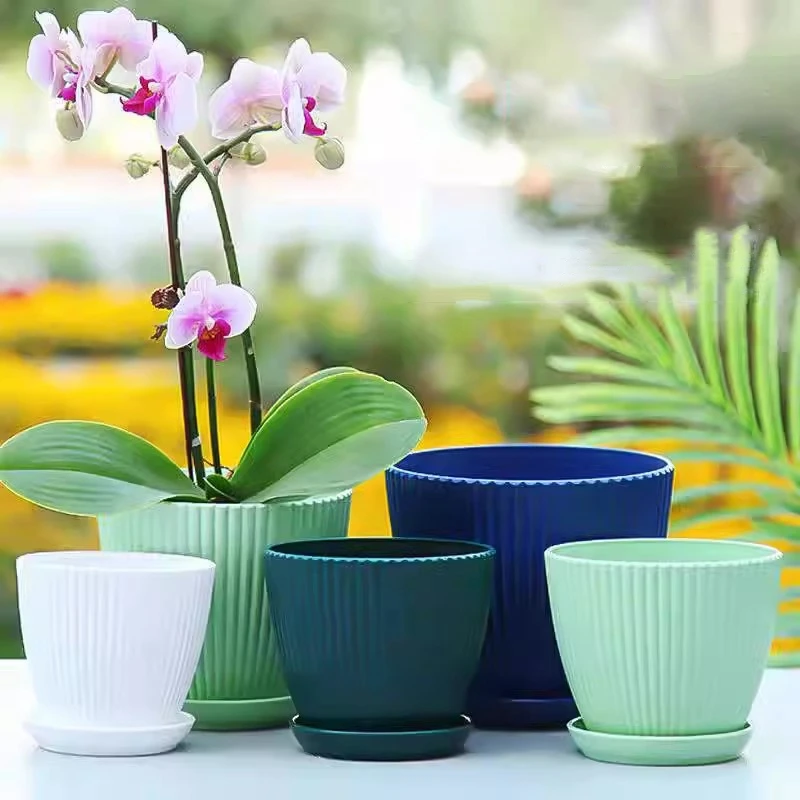 Sappige Ingemaakte Ronde Pot M - Japanese Garden Bonsai recensie en prijs