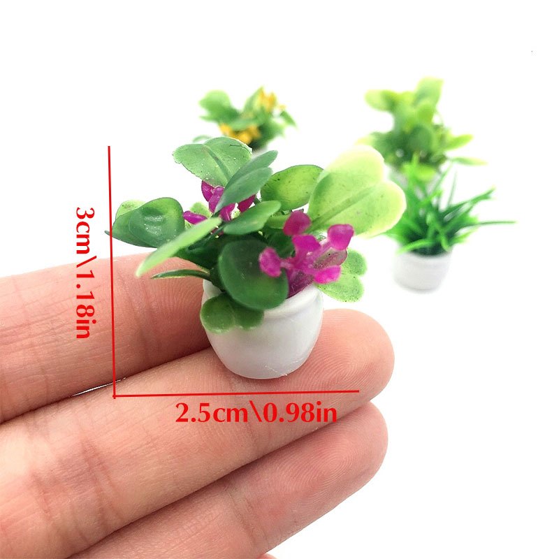 Poppenhuisplant, miniatuur bon - Bonsai Garden Mini recensie en prijs