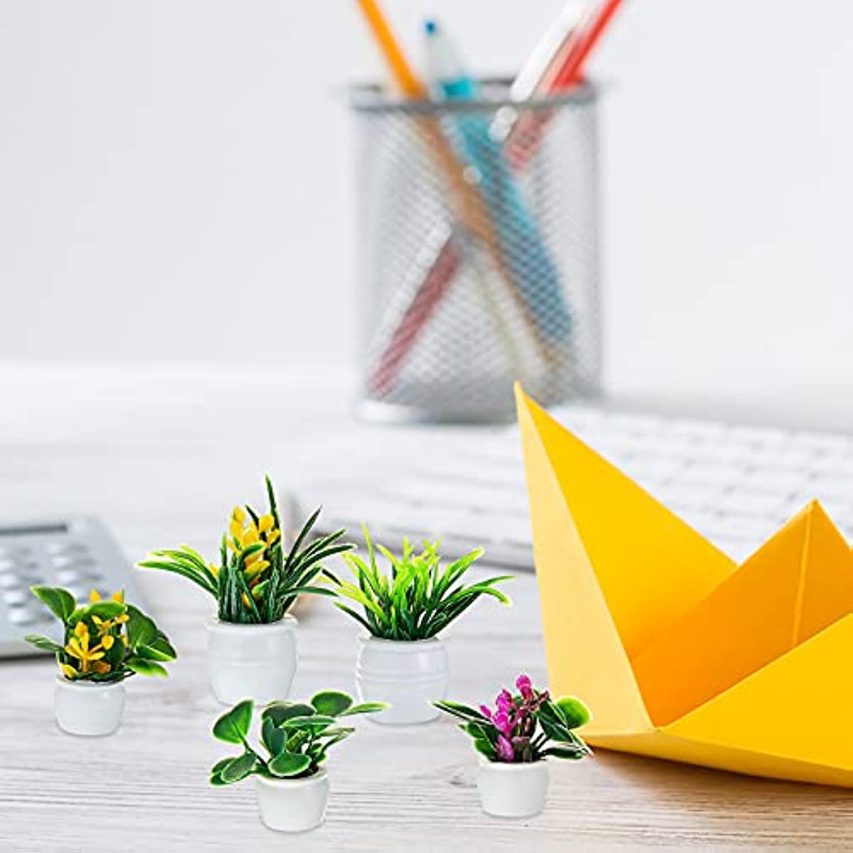 Poppenhuisplant, miniatuur bon - Bonsai Garden Mini recensie en prijs