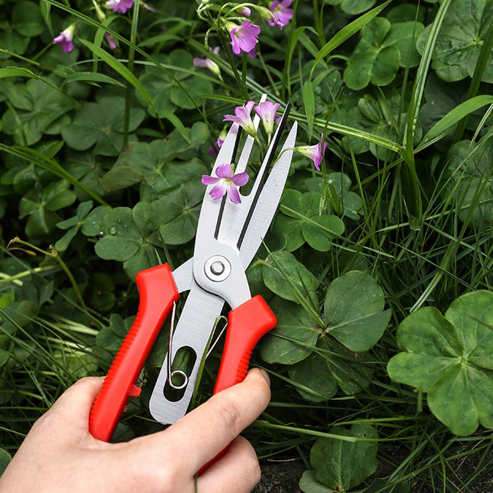 Tuinschaar Roestvrij staal Erg - Bonsai Gardening recensie en prijs