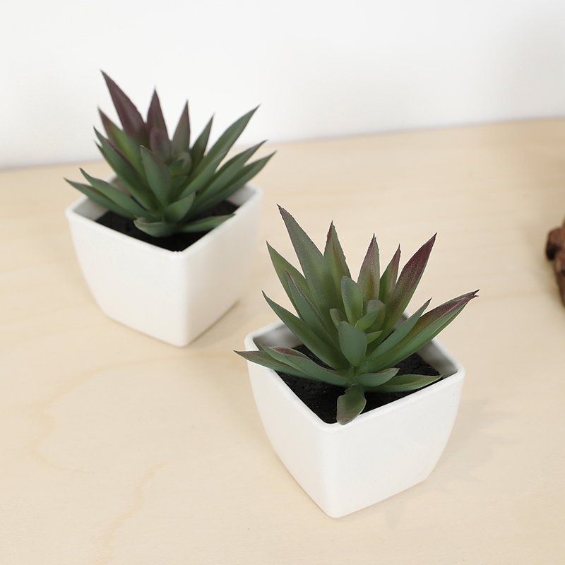 Mini Kunstmatige Succulente Fe - Bonsai Garden Mini recensie en prijs