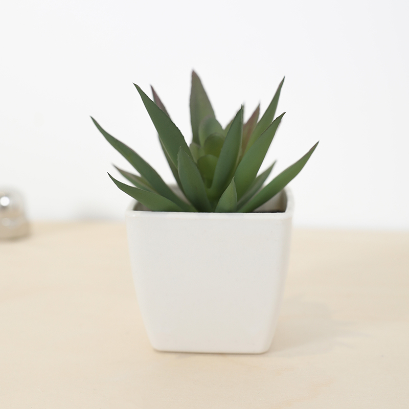 Mini Kunstmatige Succulente Fe - Bonsai Garden Mini recensie en prijs