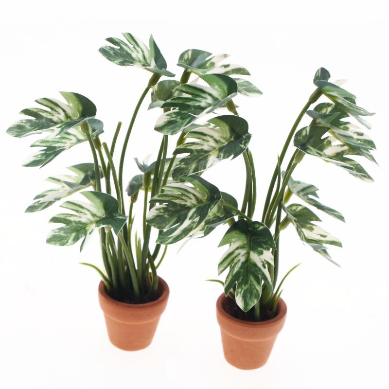 New.1PC 1/12 Poppenhuis Simula - Bonsai Gardening recensie en prijs