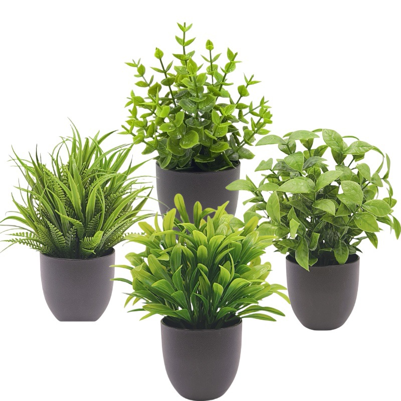 Simulatie Groene Plant Bonsai  - Bonsai Garden Mini recensie en prijs