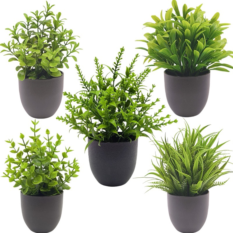 Simulatie Groene Plant Bonsai  - Bonsai Garden Mini recensie en prijs