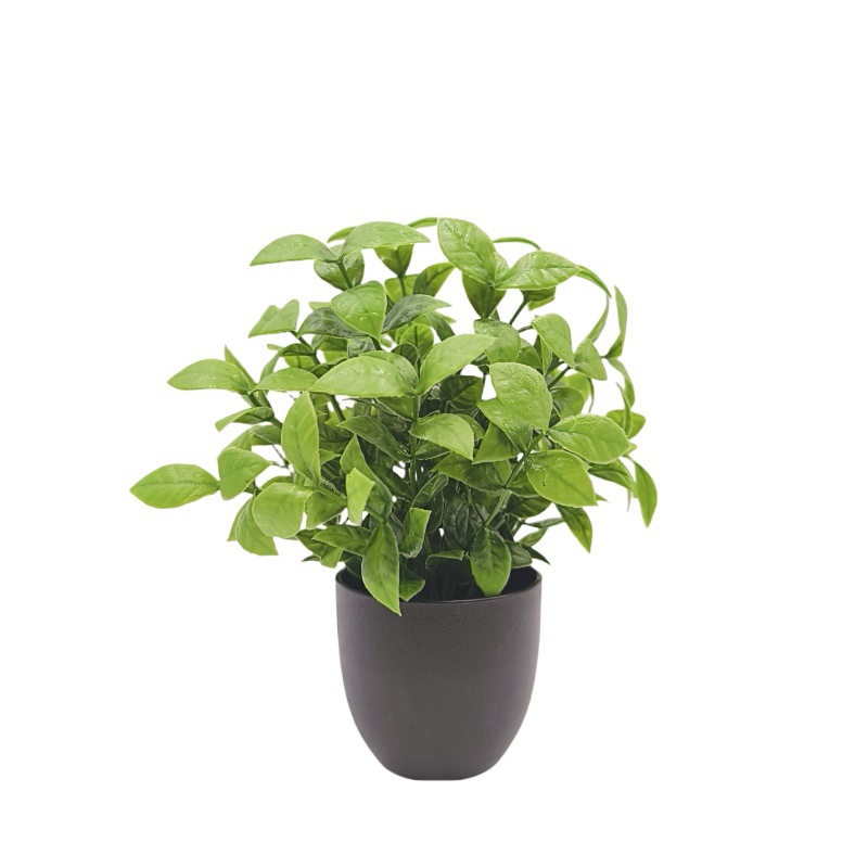 Simulatie Groene Plant Bonsai  - Bonsai Garden Mini recensie en prijs