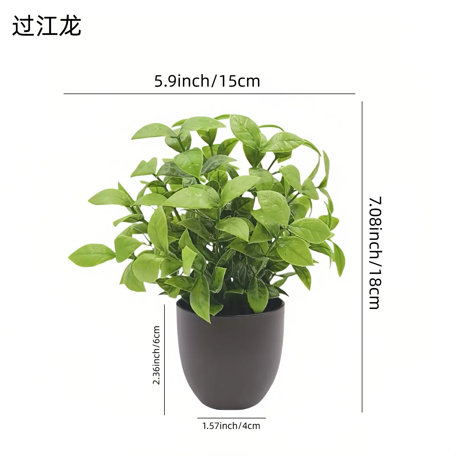 Simulatie Groene Plant Bonsai  - Bonsai Garden Mini recensie en prijs
