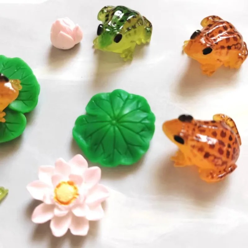 Mooie kleine oranje groene kik - Bonsai Garden China recensie en prijs