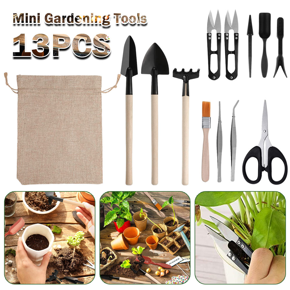 Vetplanten Gereedschap Mini Tu - Bonsai Garden Mini recensie en prijs