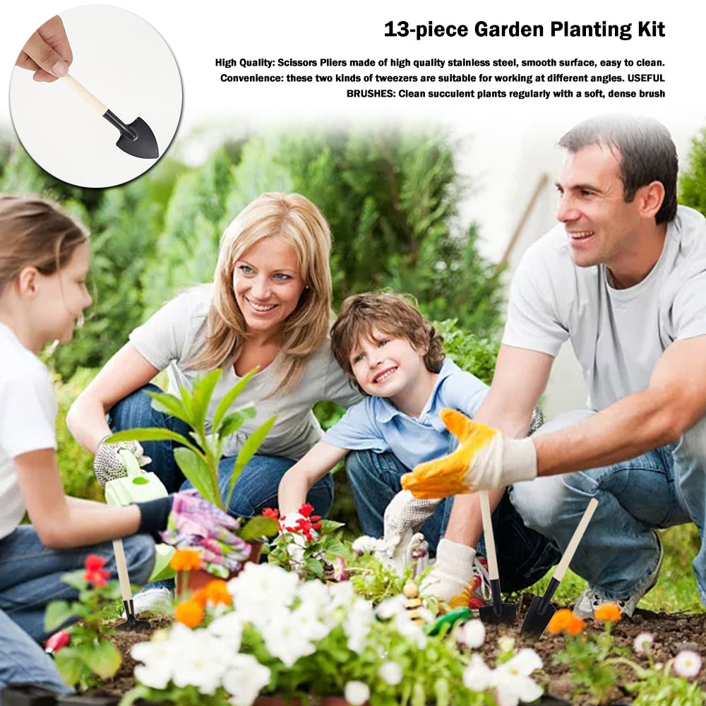 Vetplanten Gereedschap Mini Tu - Bonsai Garden Mini recensie en prijs