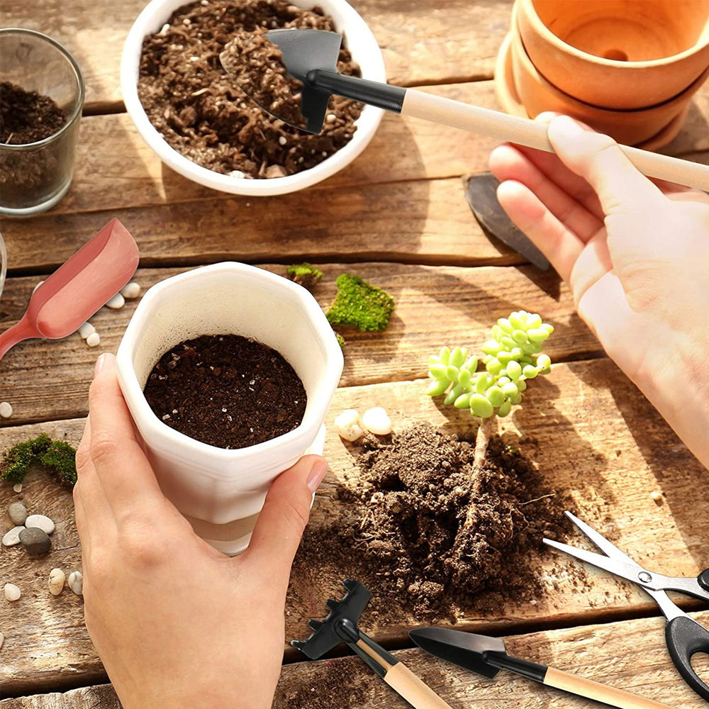 Vetplanten Gereedschap Mini Tu - Bonsai Garden Mini recensie en prijs