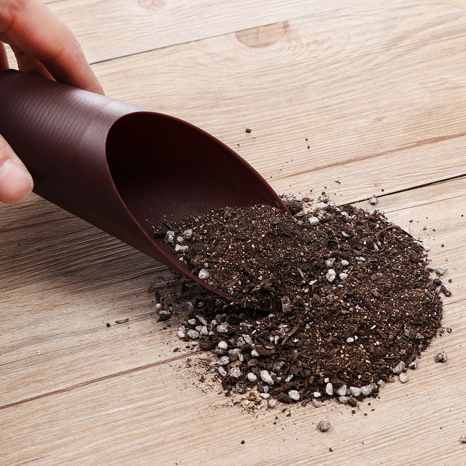 1 stuk plastic grondschepbeker - Bonsai Garden Mini recensie en prijs